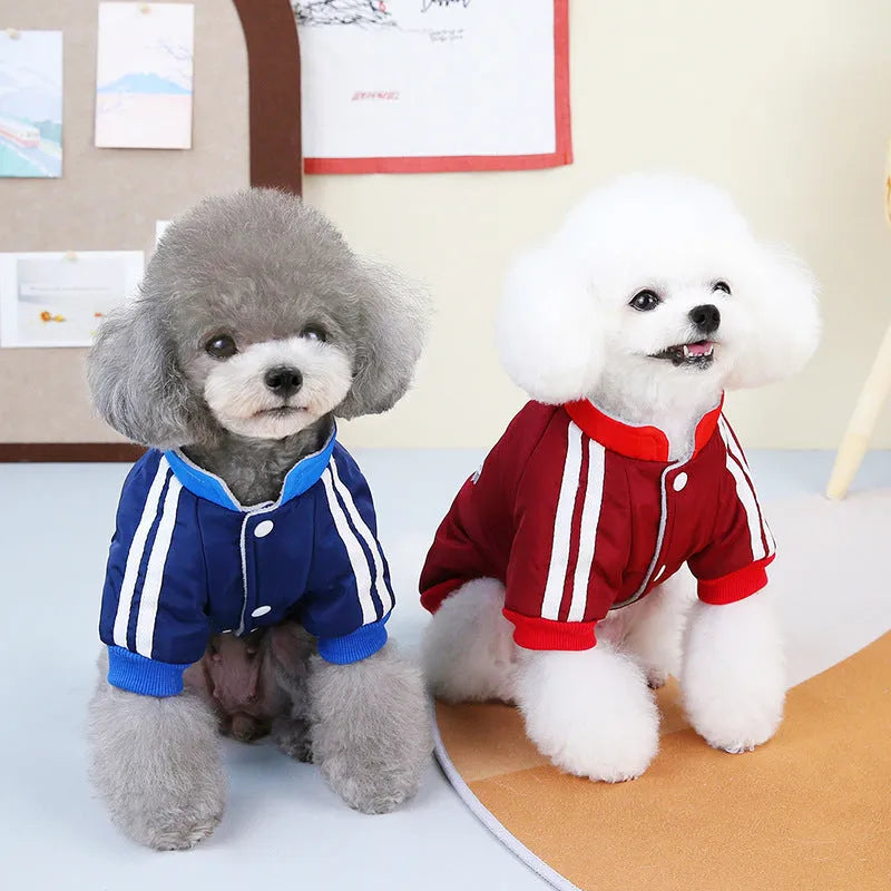 Red dog coat with V-shaped splicing design showing thick cotton construction and casual styling for pet wear