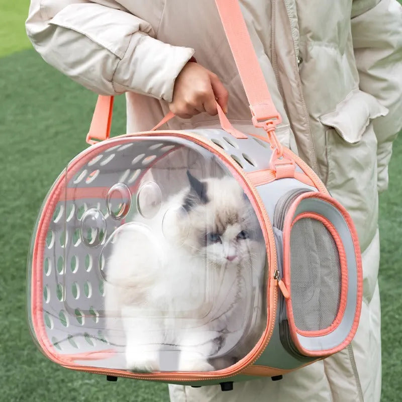 Large transparent hard-shell cat backpack carrier in grass green colour, showing dimensions.