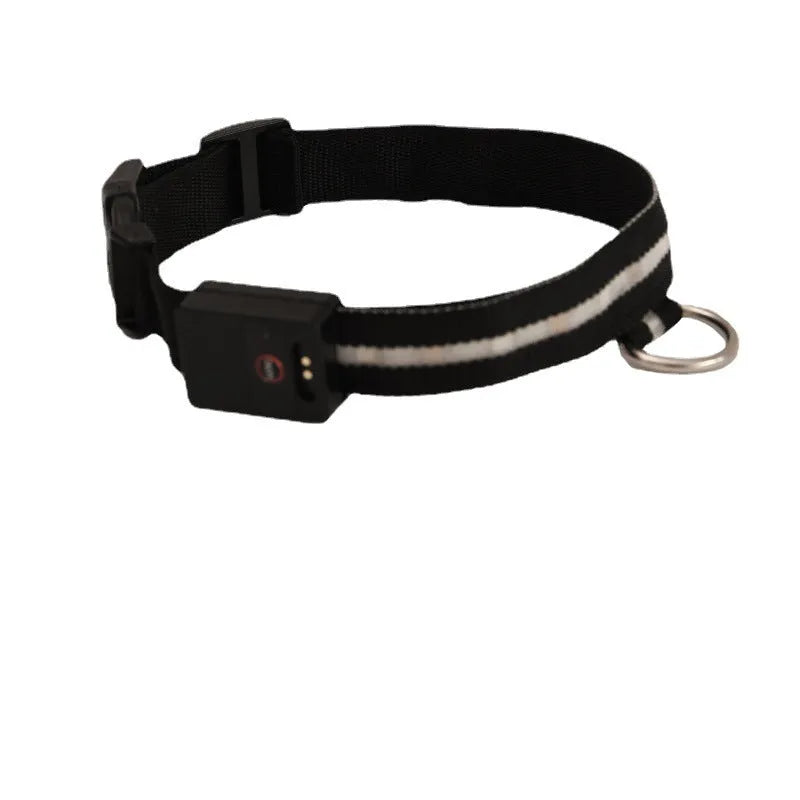 Black LED luminous dog collar with cartoon pattern and attached hand rope for walking
