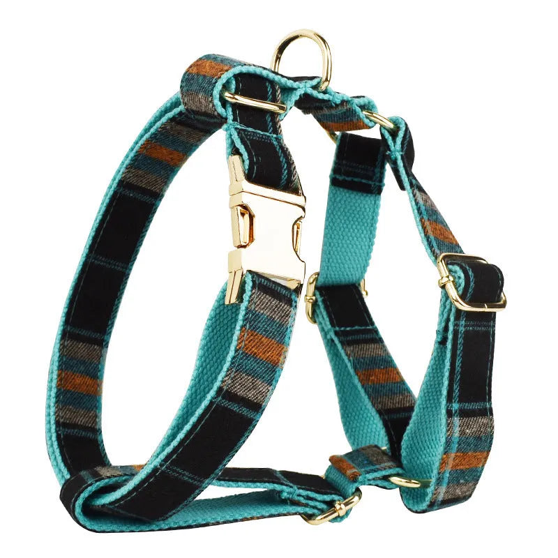 Green retro style pet collar, leash, vest and bow accessories set for dogs