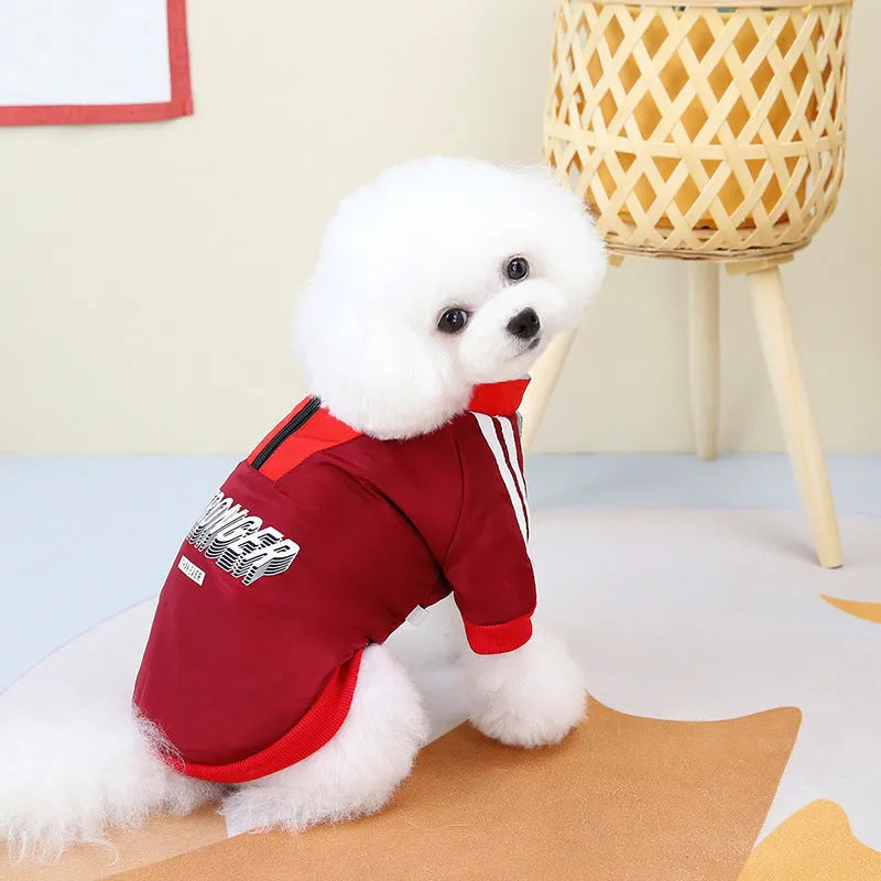 Red dog coat with V-shaped splicing design showing thick cotton construction and casual styling for pet wear