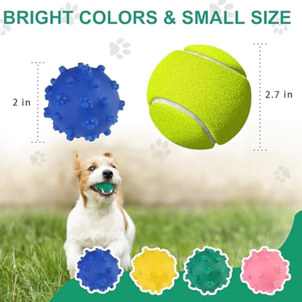 Blue, green, pink, and yellow spiky dog toy balls with paw print dimples, shown next to a small dog.
