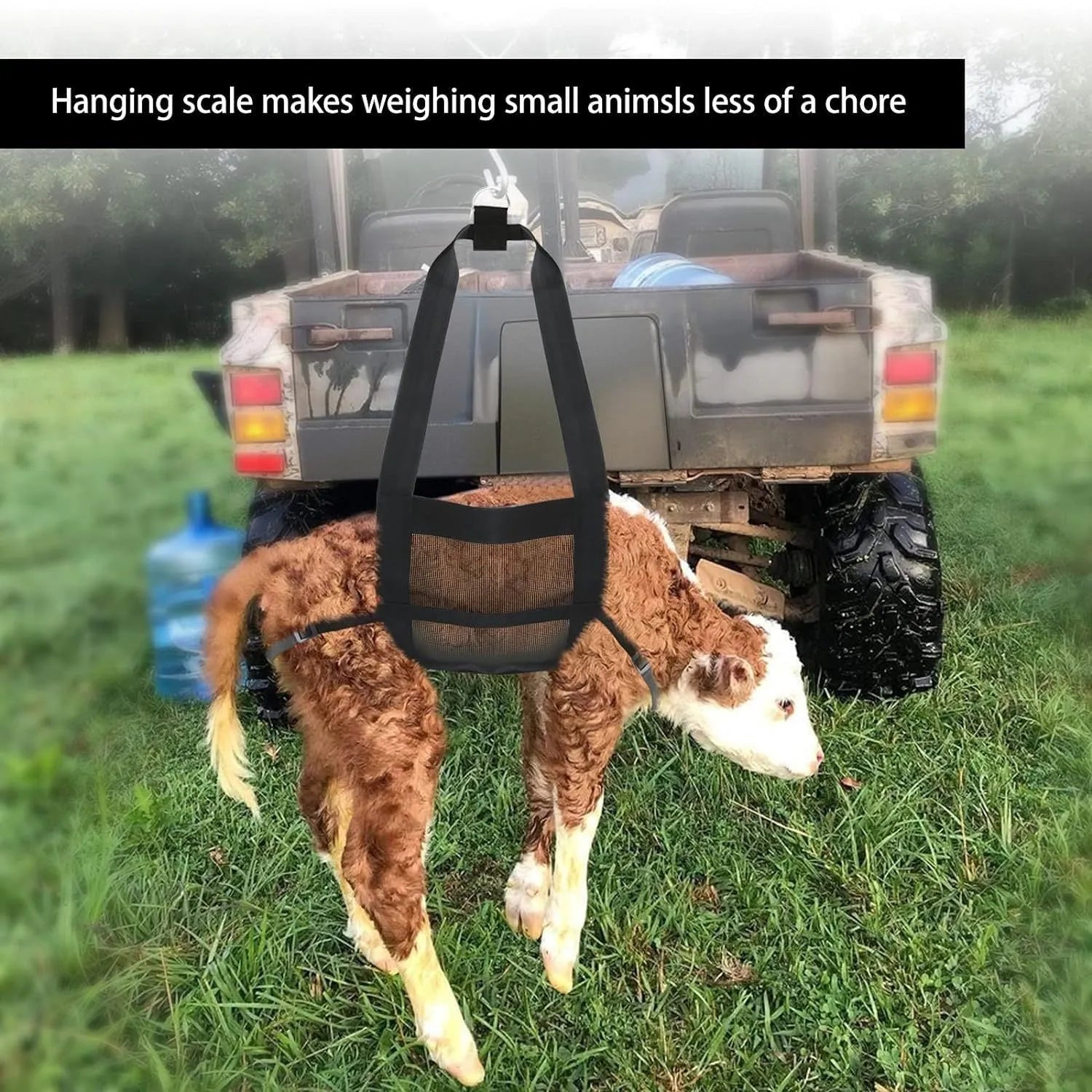 Black polyester calf large dog sling weighing bag with reinforced handles measuring 35 x 150 cm
