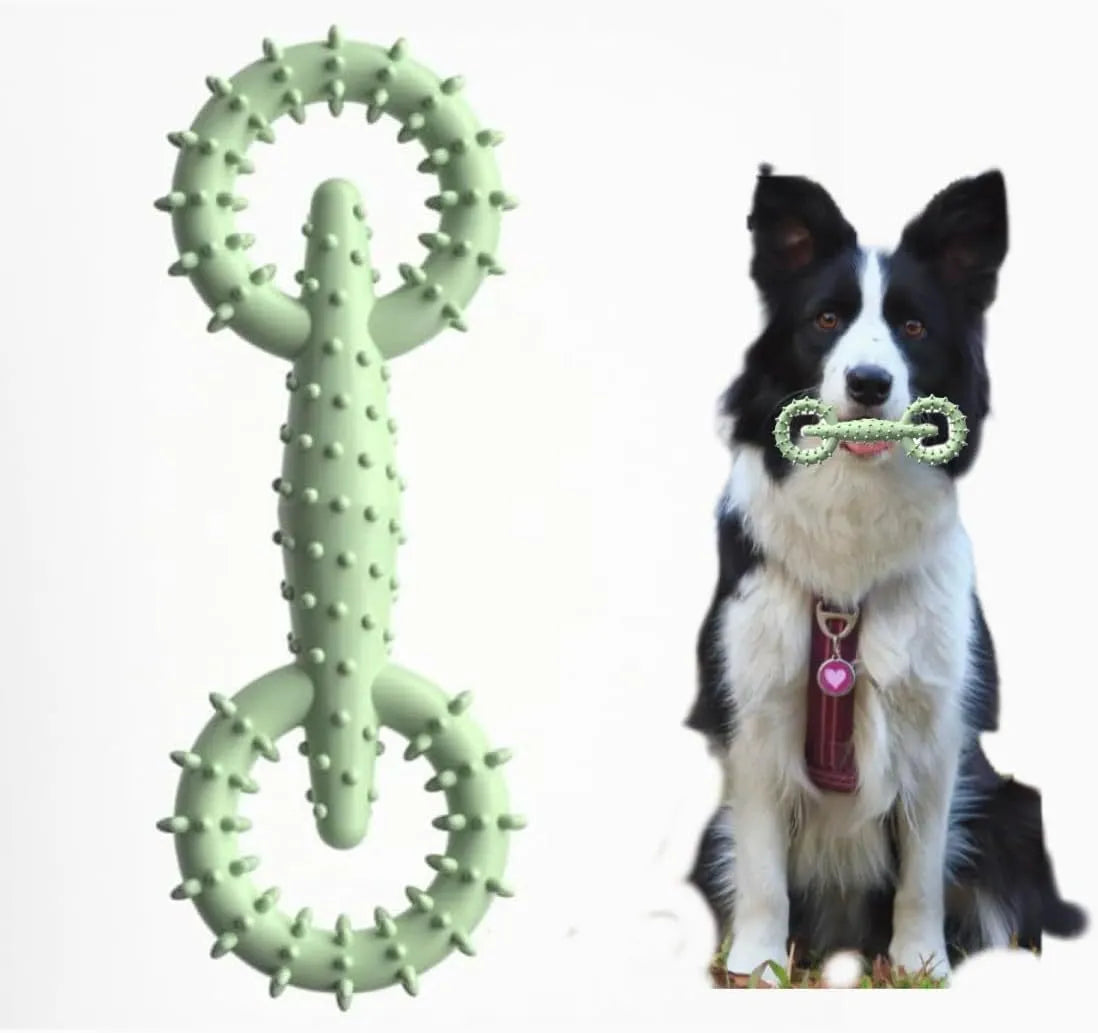 TPR dog chew toy ring in blue colour showing textured surface and ring shape