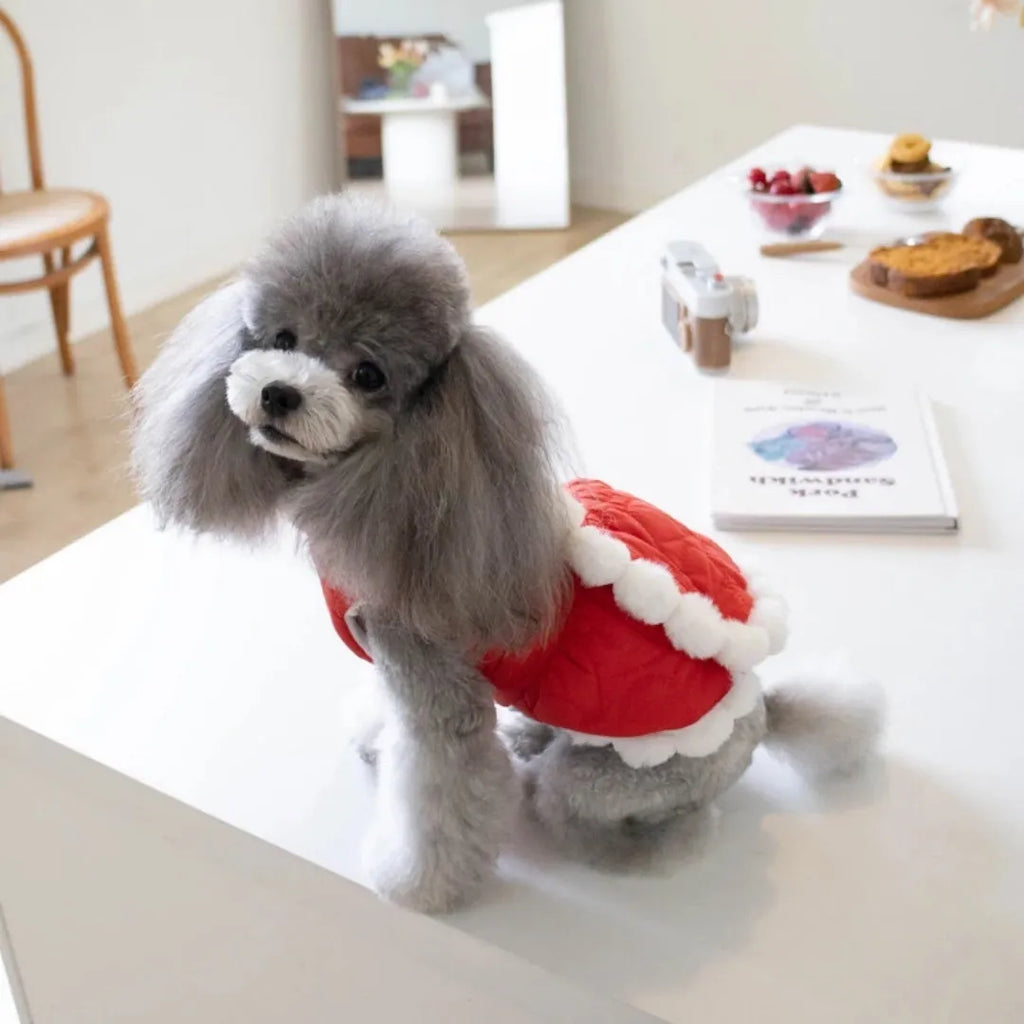 Red Chinese-style pet clothing with fur collar and traditional knot decoration for winter wear