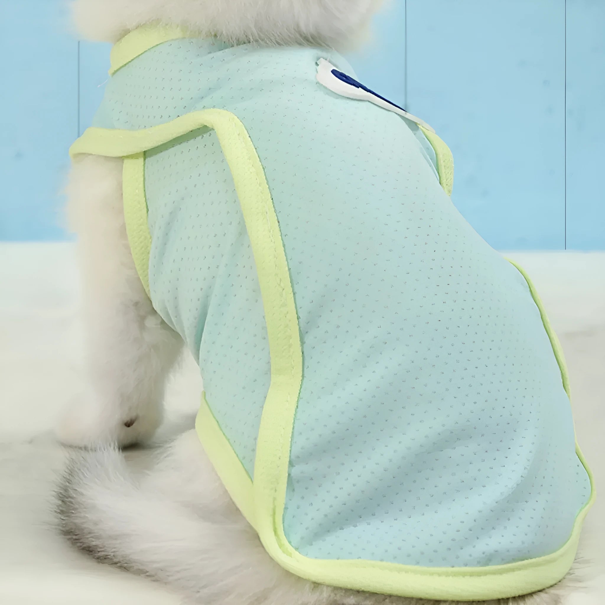 Grass green lightweight polyester vest for a cat, shown in a sport style.