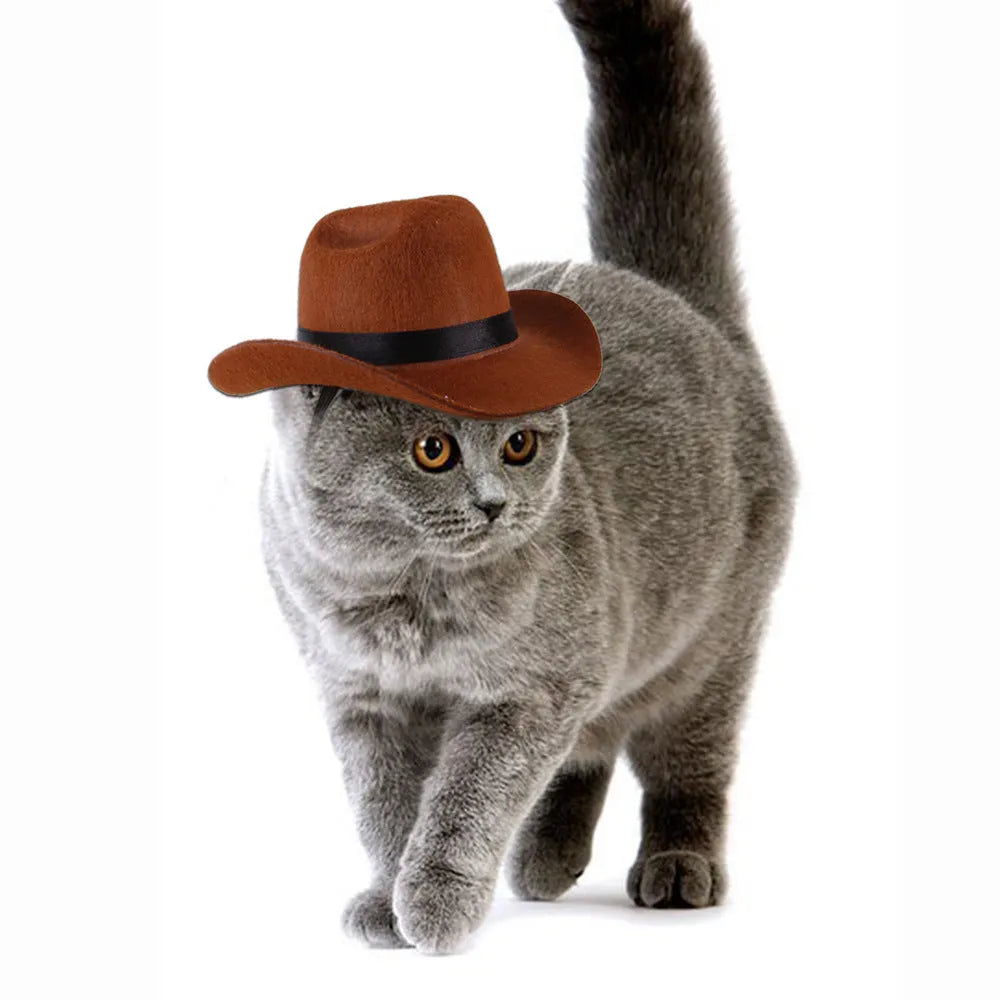 Adjustable pet dog cowboy hat in brown colour with rounded brim design