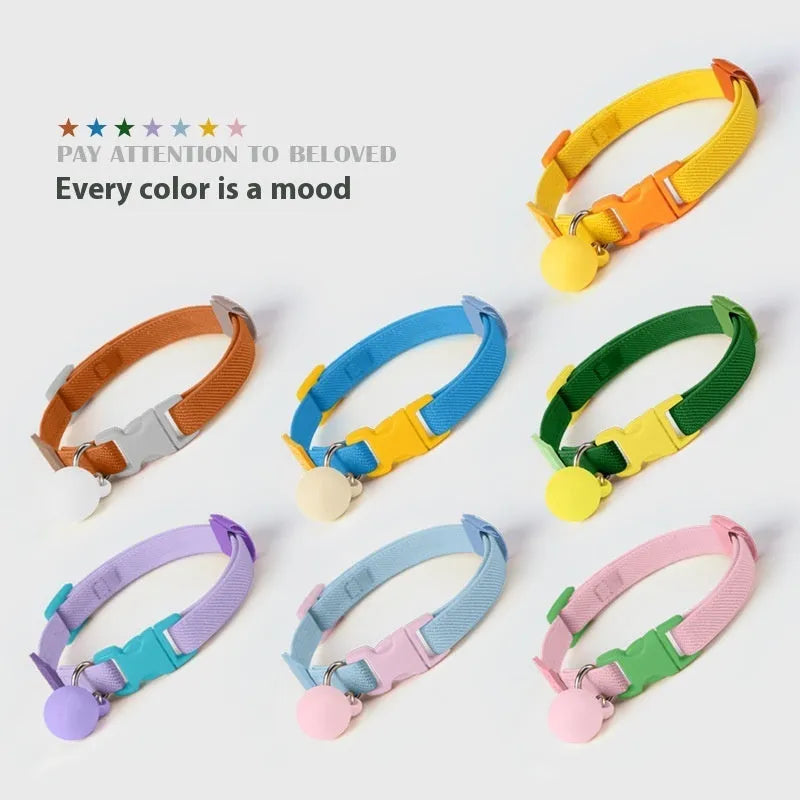 Small dog wearing a stretchy yellow polyester elastic pet collar.