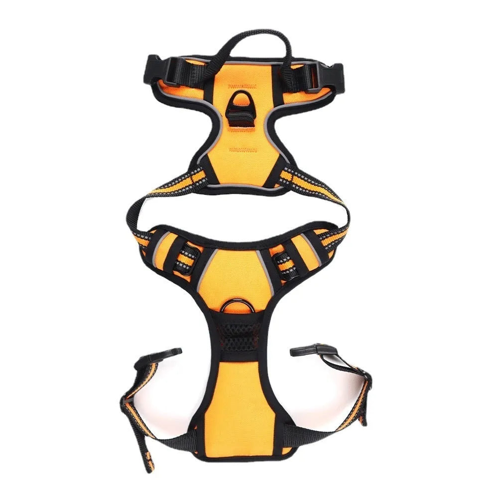 Adjustable Oxford cloth dog harness with a control handle on the strap, shown in a choice of colours.
