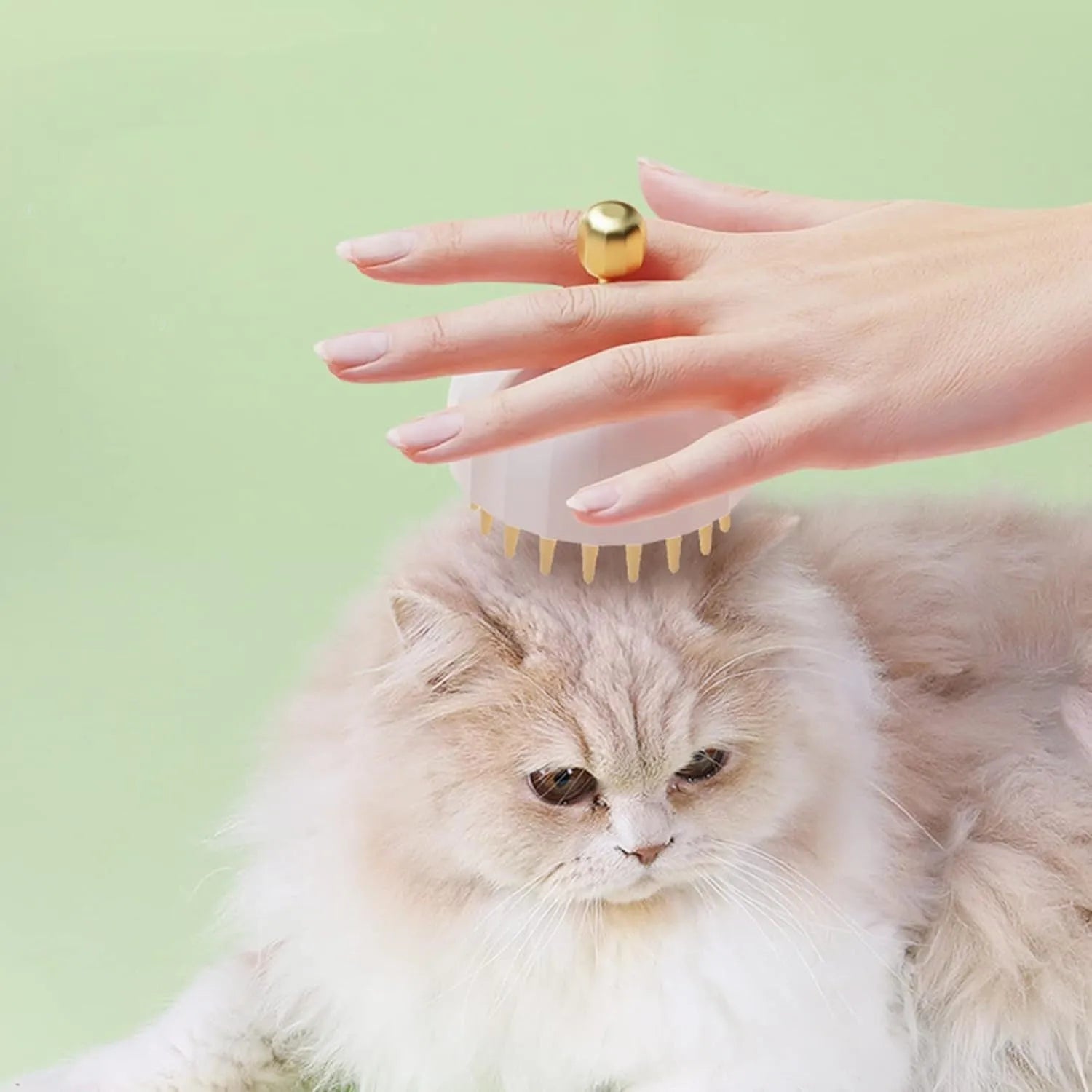Green pink or white pet bath massage brush with soft silicone bristles and drain holes for dog and cat washing