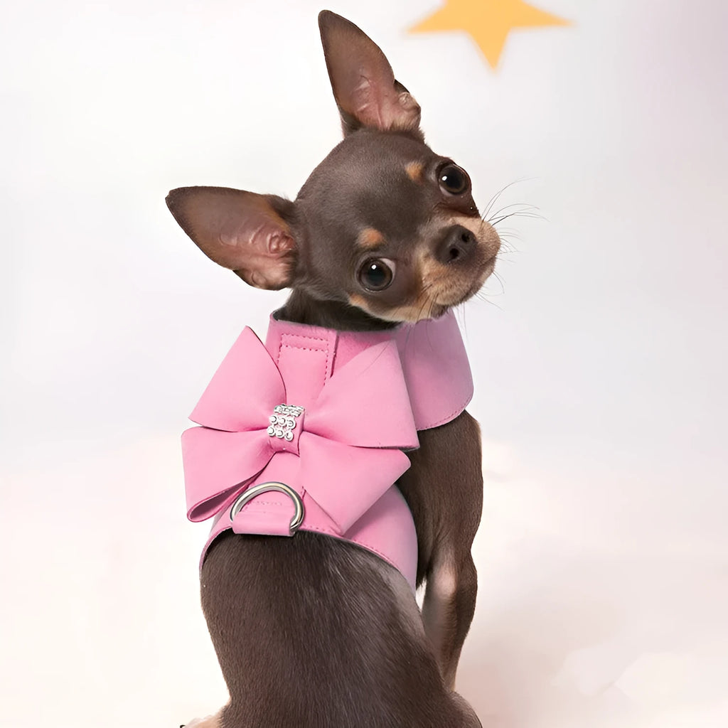 Cute fashion bowknot puppy chest strap in microfiber, shown in pink, blue, and orange colours.