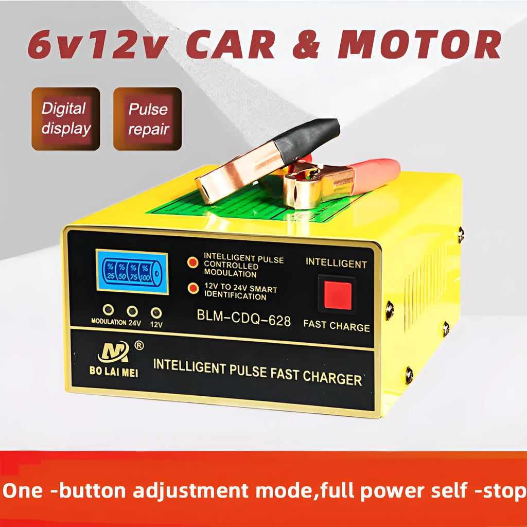 BT 168 manual car battery charger for 12V and 24V lead acid batteries