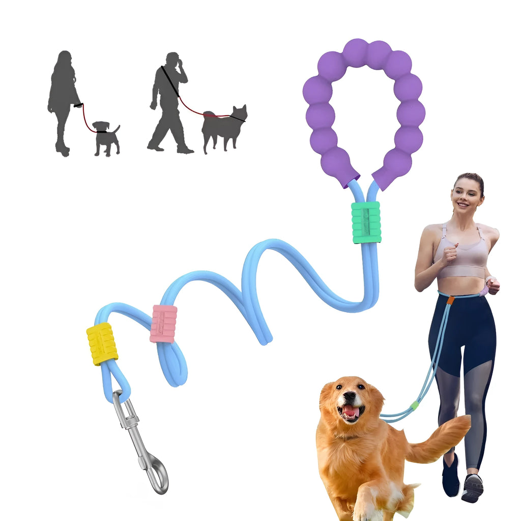 Nylon dog traction lead with foam handle in four colour options