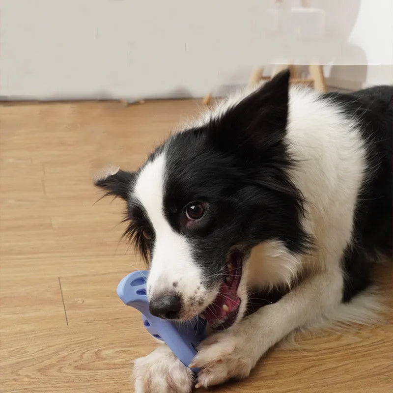 Blue TPU boomerang dog chew toy for medium and large breed dogs with textured molar cleaning surfaces