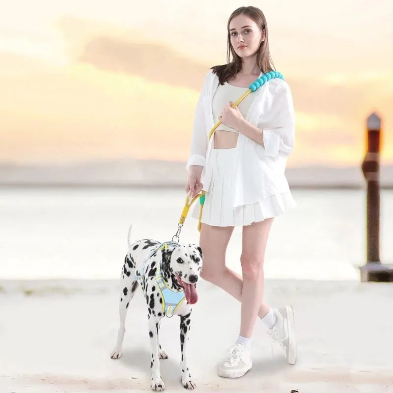 Nylon dog traction lead with foam handle in four colour options