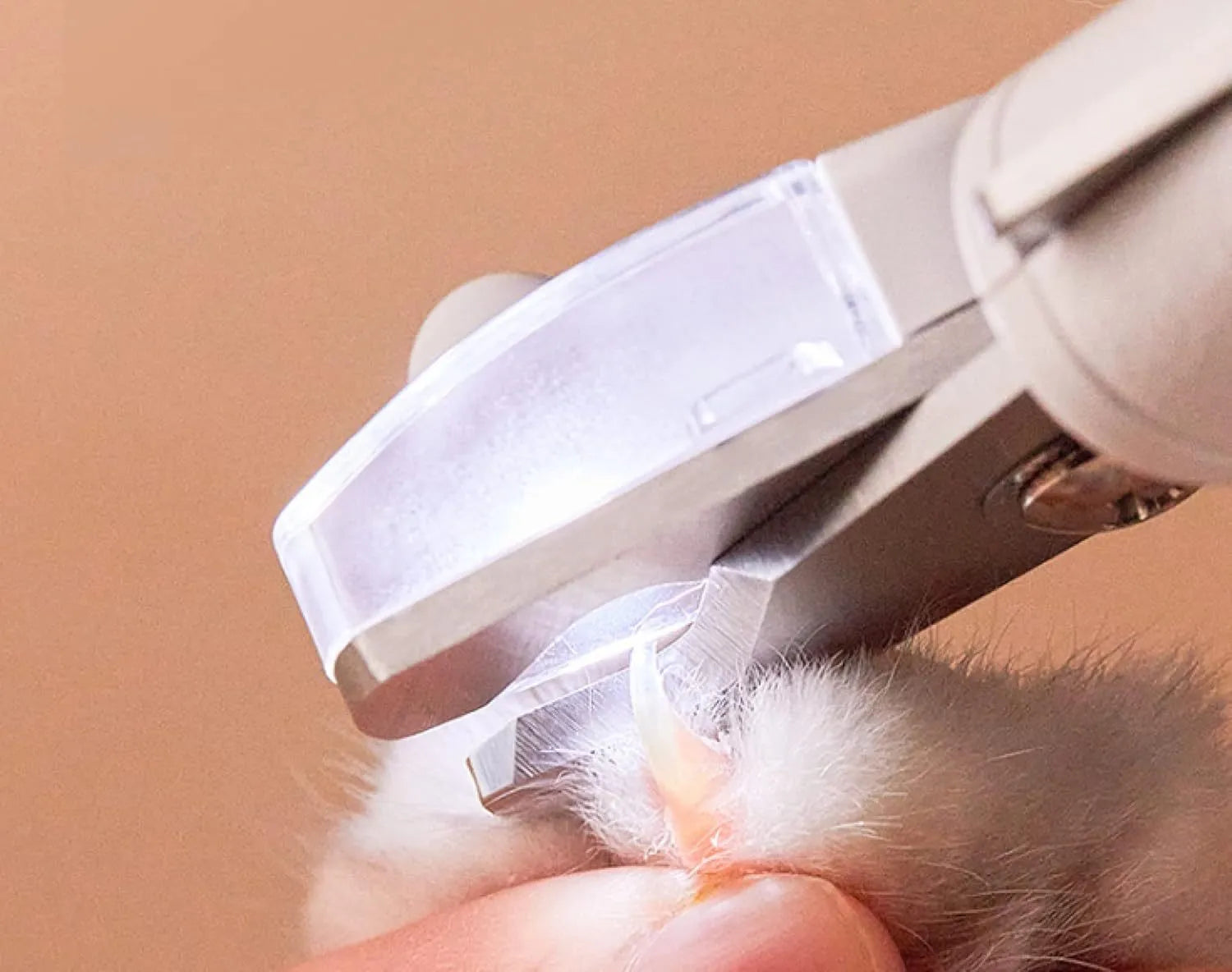 White pet nail clippers with LED light on blade and transparent anti-splash guard, shown with a nail file.