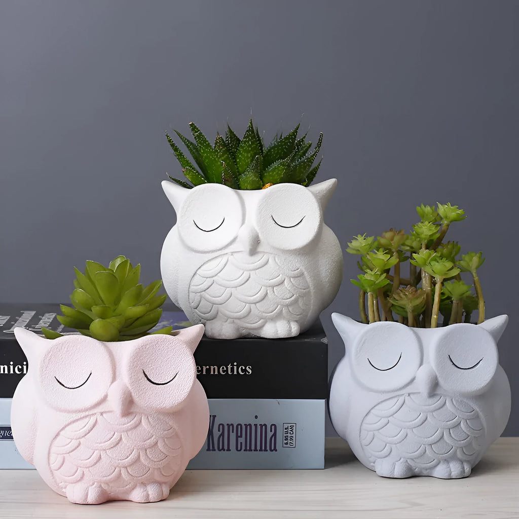 Ceramic succulent flower pot with frosted cartoon owl design measuring 11cm high by 9cm wide