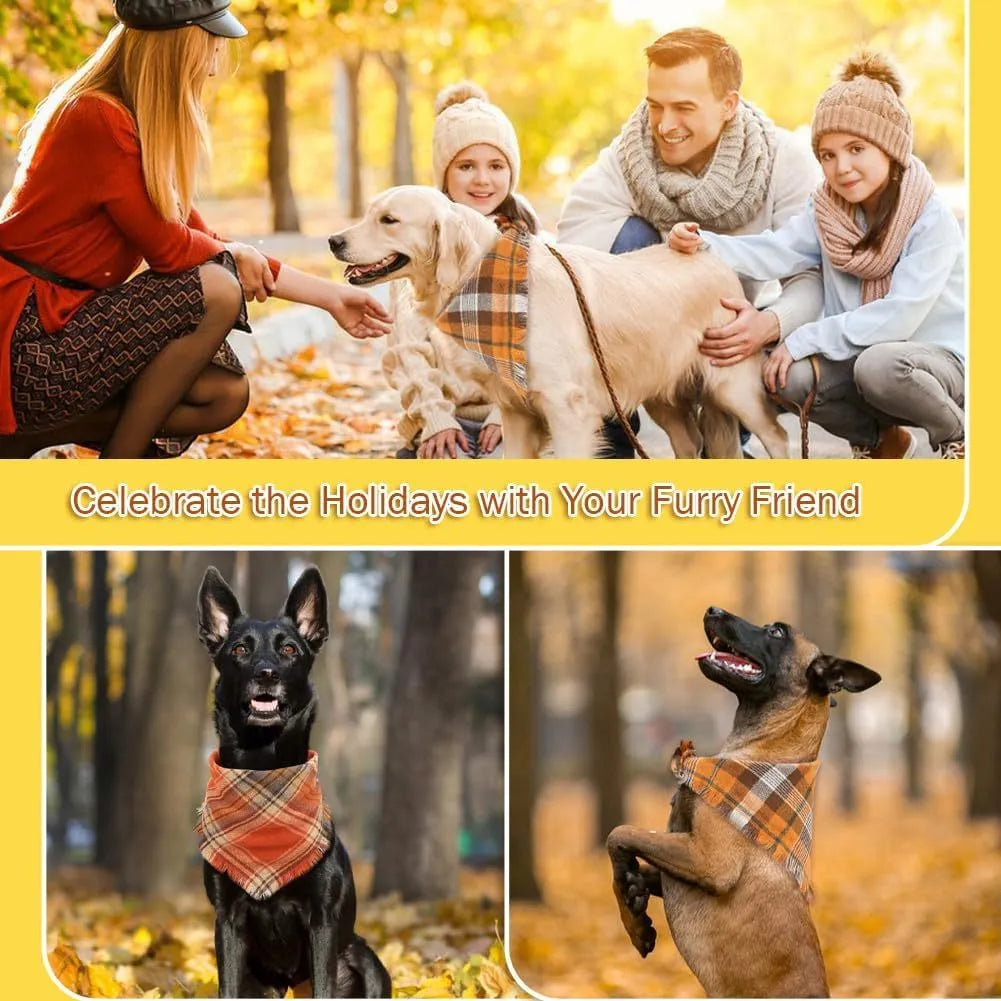 Autumn plaid dog bandana with tassel edges in seasonal colours