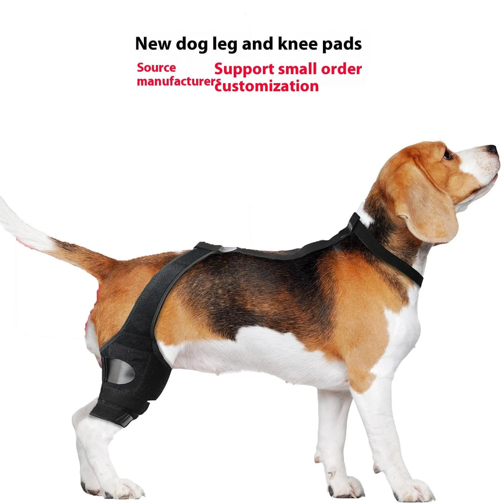 Neoprene dog knee brace support strap wrapped around canine hind leg in silver grey colour