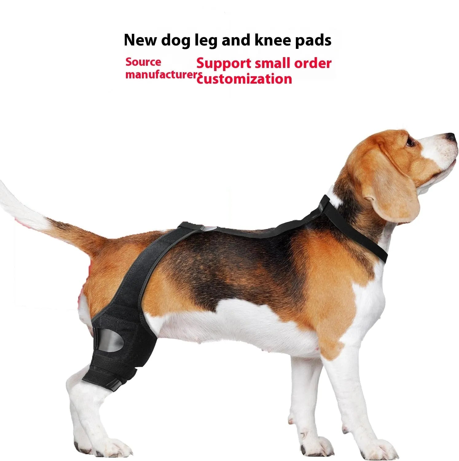 Neoprene dog knee brace support strap wrapped around canine hind leg in silver grey colour