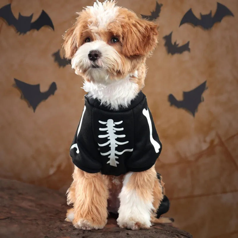 Halloween pet costume with luminous skeleton bones on dog showing four-legged design