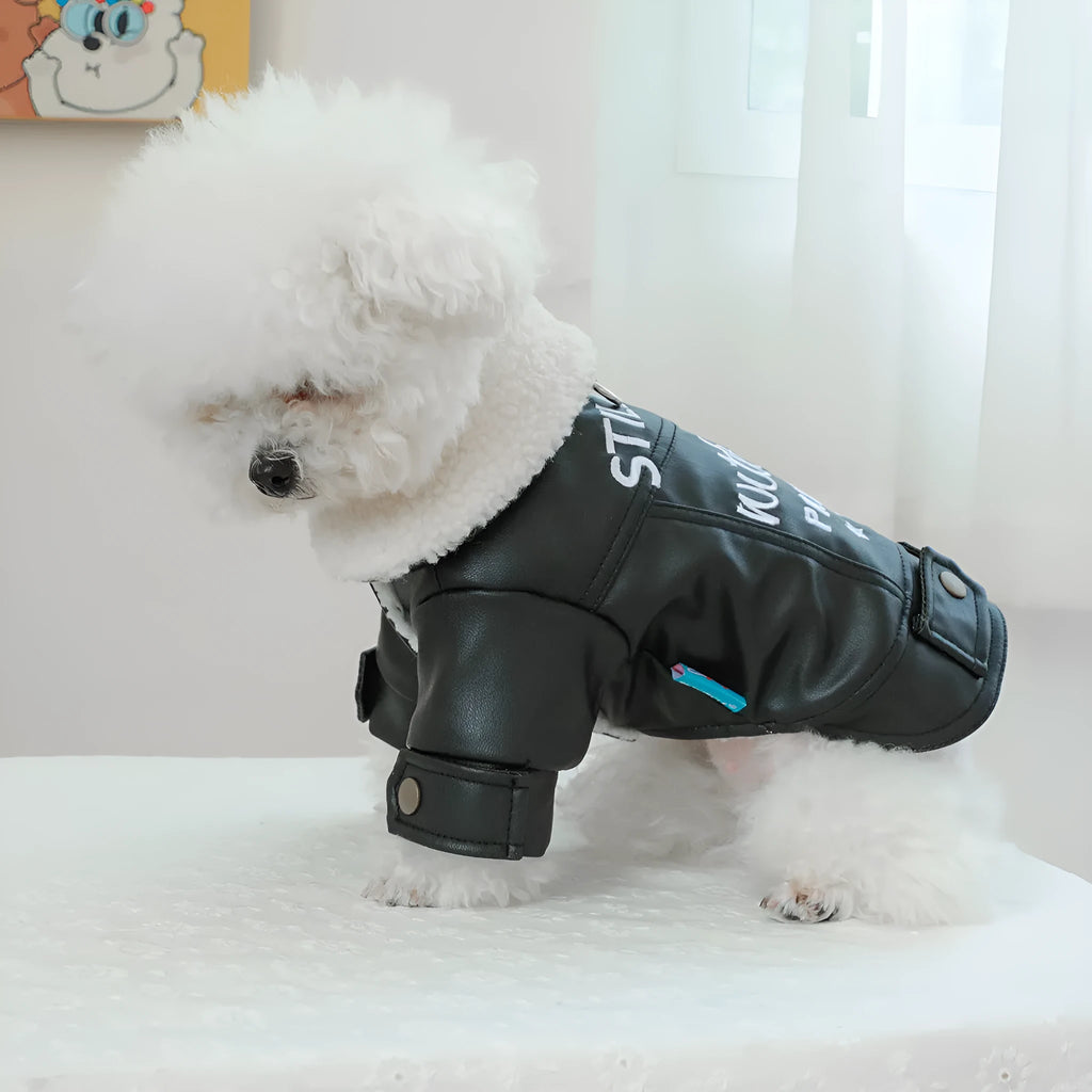 Dog wearing fleece lined padded coat in black colour with visible fleece lining at neck