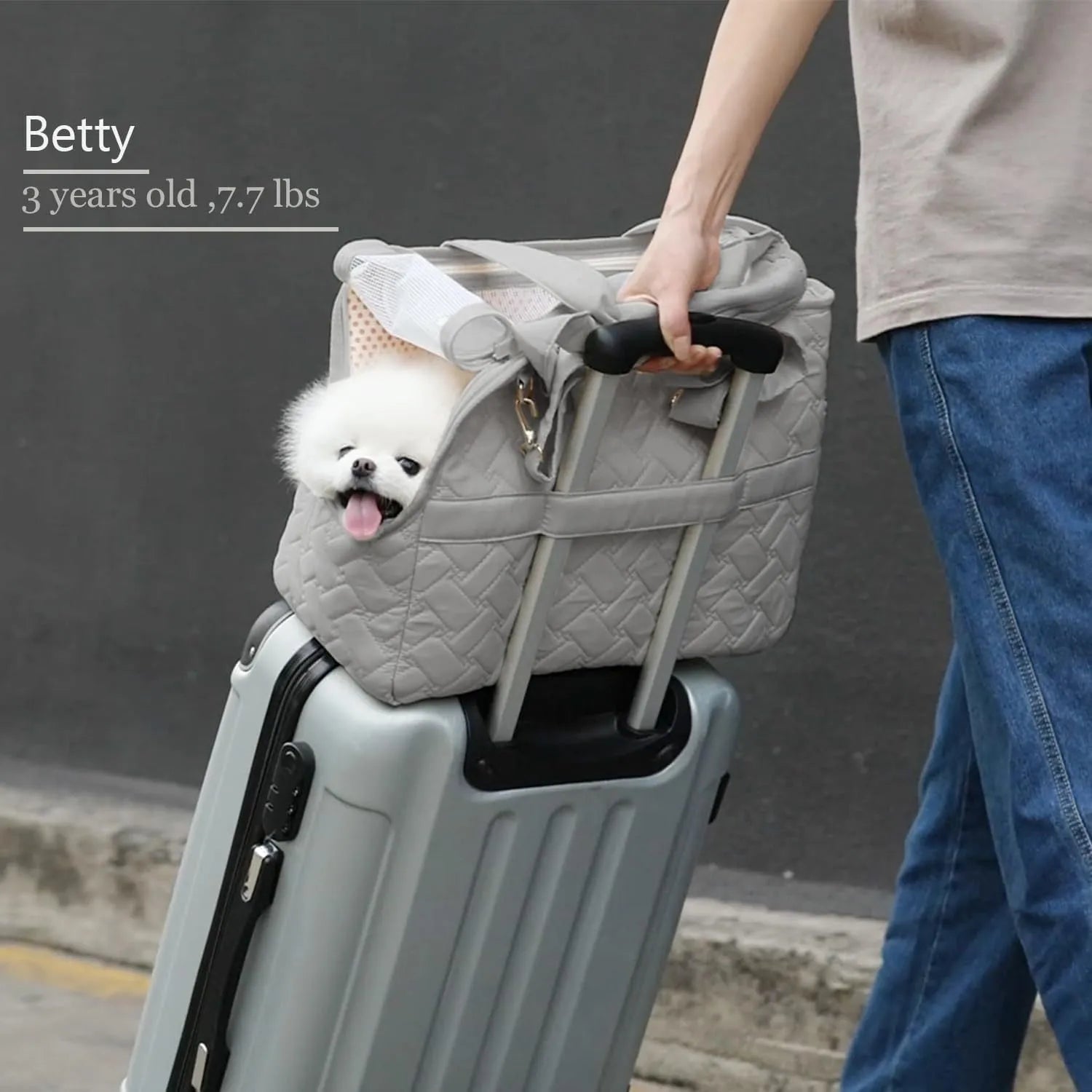 Grey and white pet carrier handbag with mesh panels and multiple pockets for cat or small dog transport