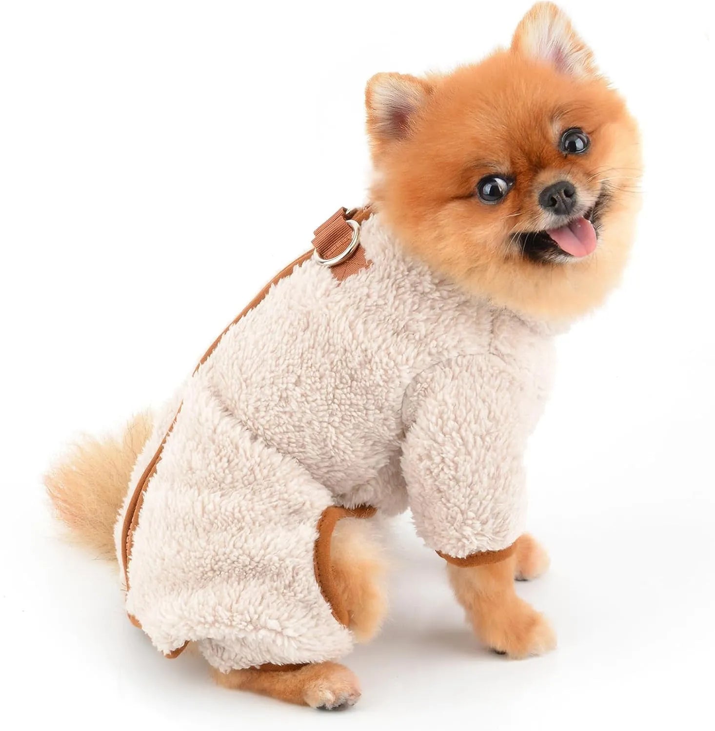 Green fleece dog coat with back zipper and D-rings on small dog