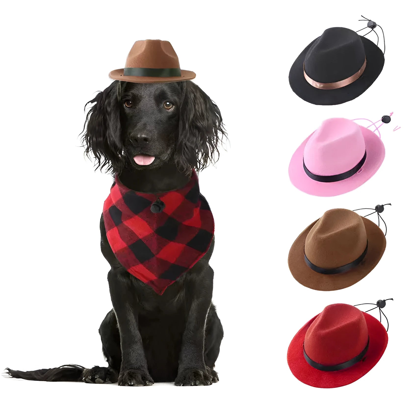Small dog wearing wool felt sun hat with denim style in choice of four colours