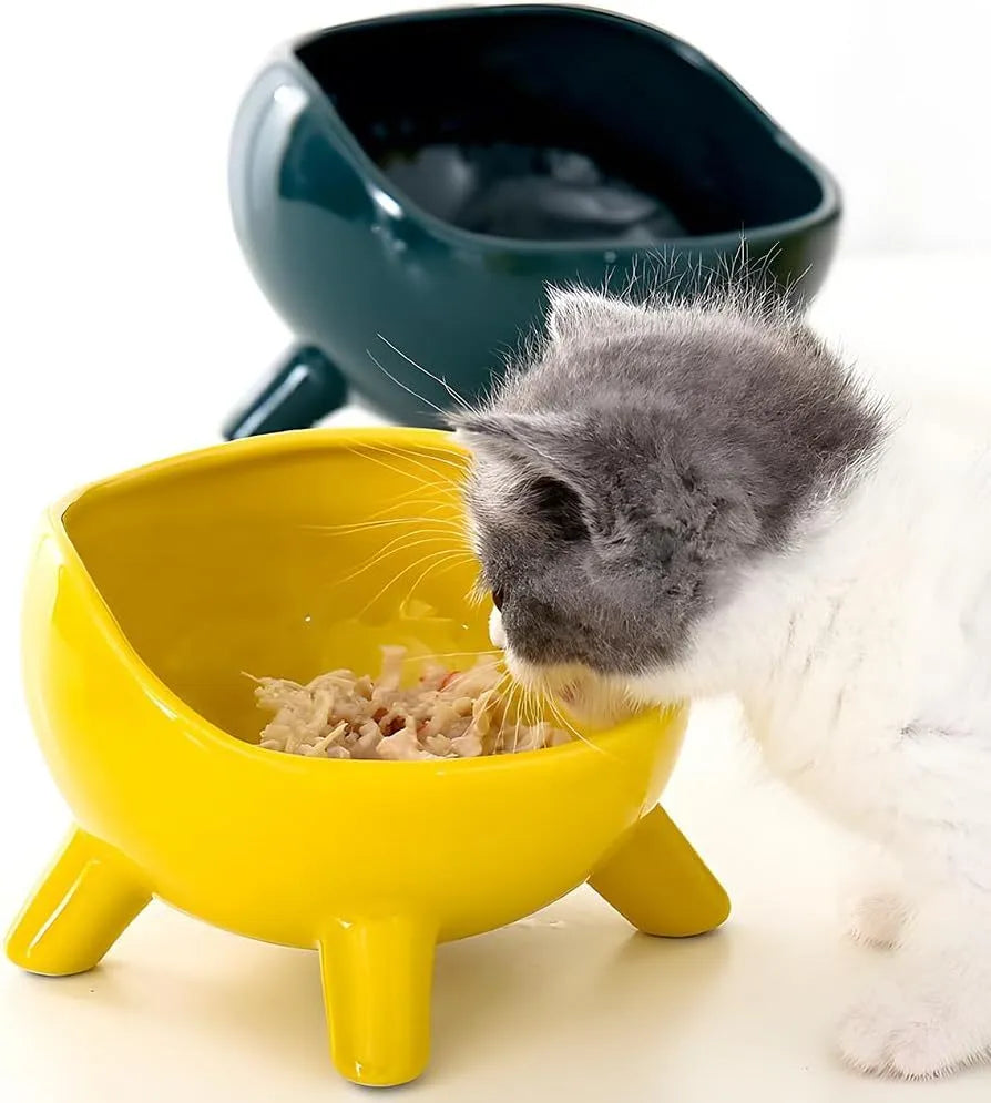Green ceramic pet bowl with four legs and a rounded rim for stability and spill control.