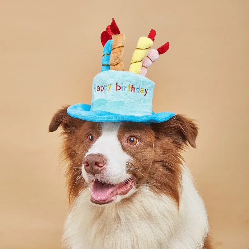 Adjustable dog birthday hat for small breeds in pink or blue colour with elastic strap