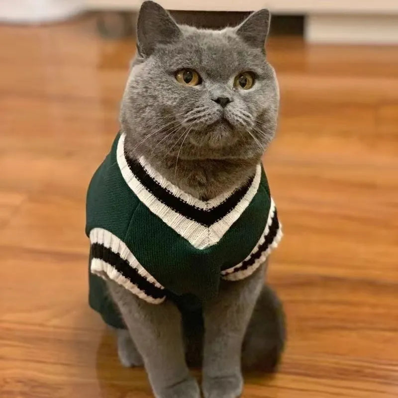 Cat wearing silver gradual layer winter clothes in blue duck colour with weight-based sizing