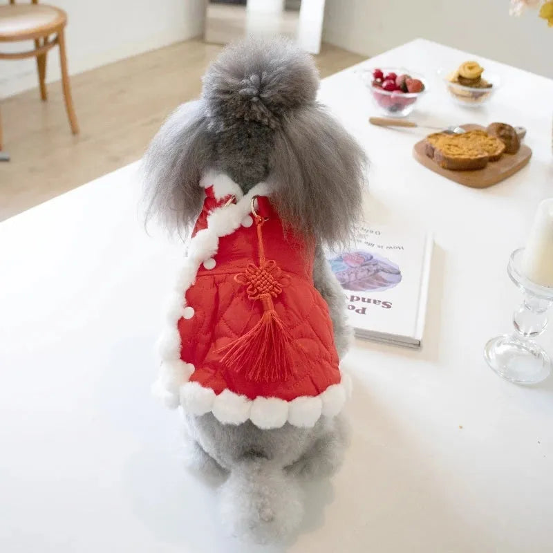 Red Chinese-style pet clothing with fur collar and traditional knot decoration for winter wear