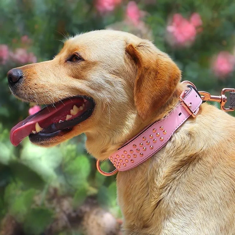 Leather dog collar with metal rivets, shown in black, chocolate, or pink, sized for large dogs.