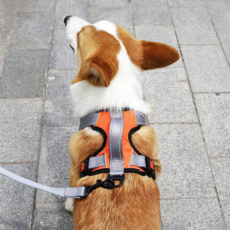 Polyester dog chest back harness with hand holding rope in various colours on size chart.