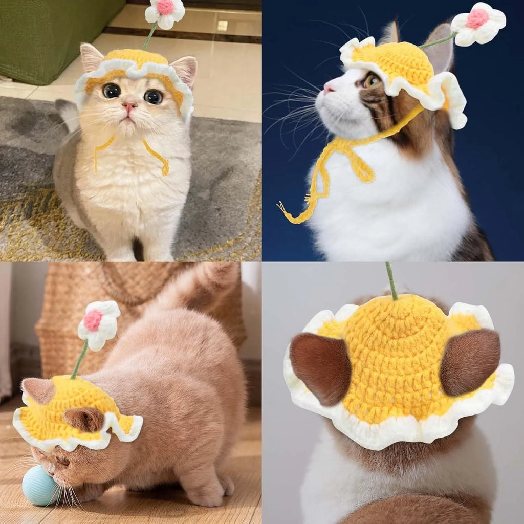 Green knit cartoon costume hat on a cat, showing soft fabric and design for parties.