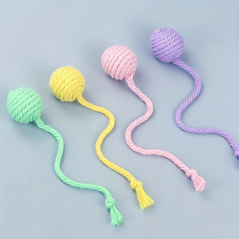 Colourful cat toy ball with rope attached and internal bell for kitten play stimulation