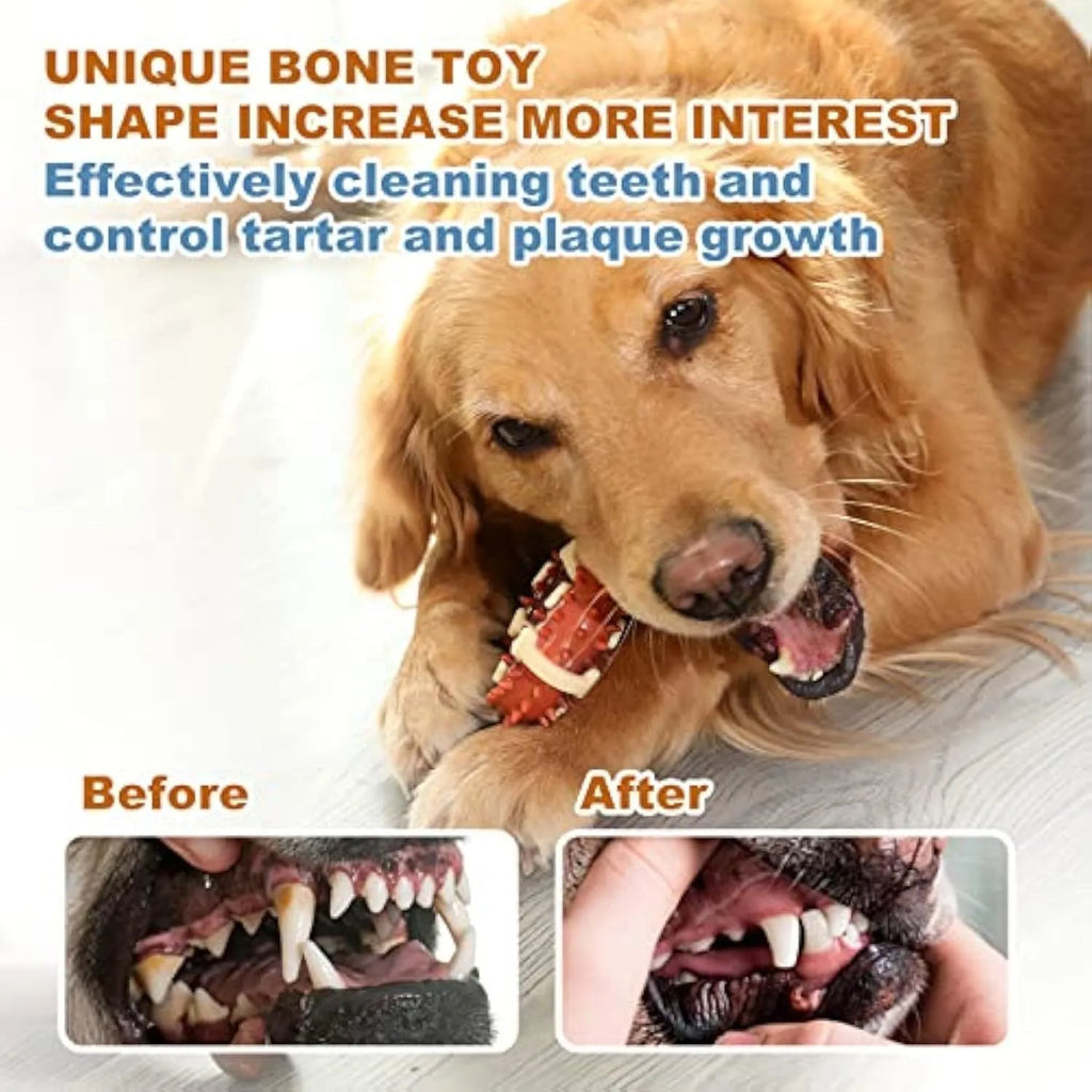 Natural rubber bone-shaped pet molar chew toy for dogs in two sizes