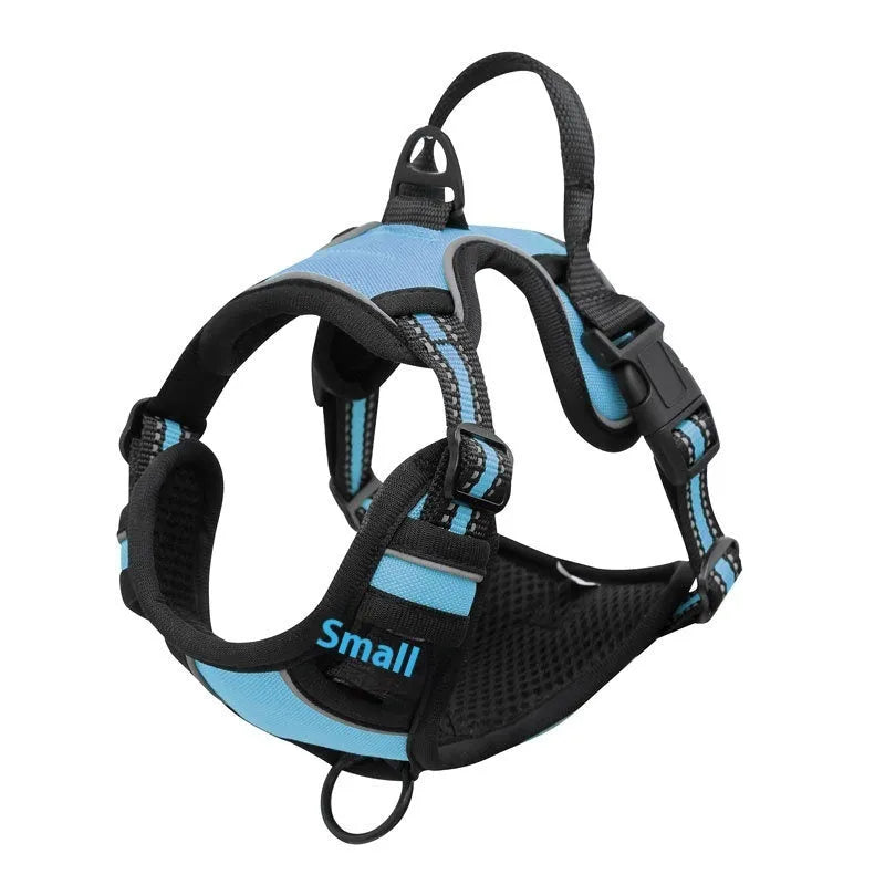 Adjustable Oxford cloth dog harness with a control handle on the strap, shown in a choice of colours.