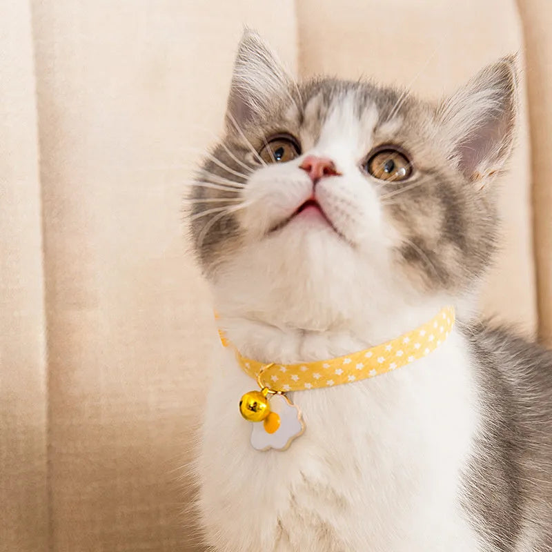 Green adjustable cat collar with bell pendant and bow tie on a small dog