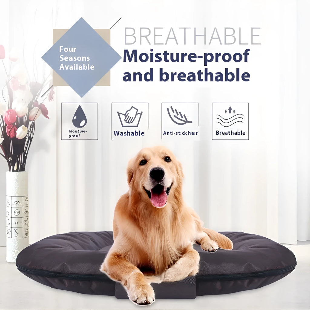 Removable cover pet mattress in Oxford cloth for dogs, shown in S size 55x45cm