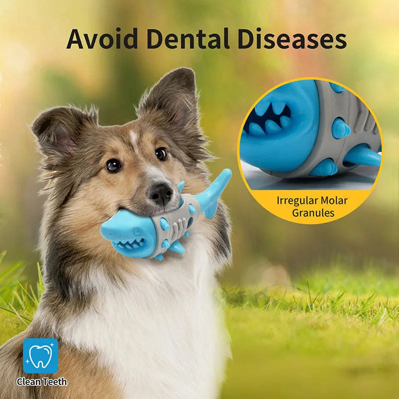 Blue shark-tooth textured dog chew toy with bite-resistant rubber construction and squeaker