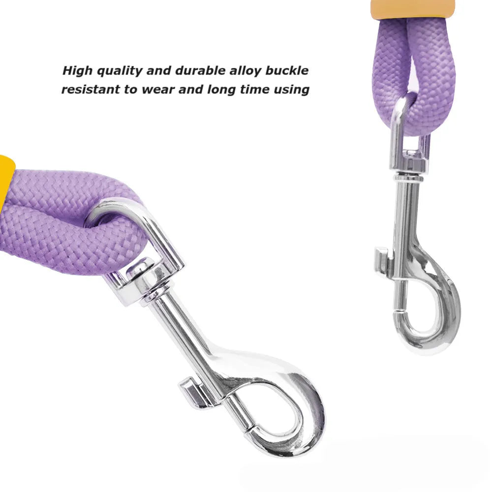 Nylon dog traction lead with foam handle in four colour options