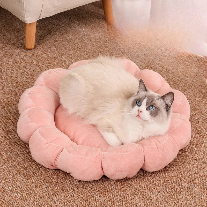 50cm square half-surrounded pet bed with plush fabric in multiple colour options