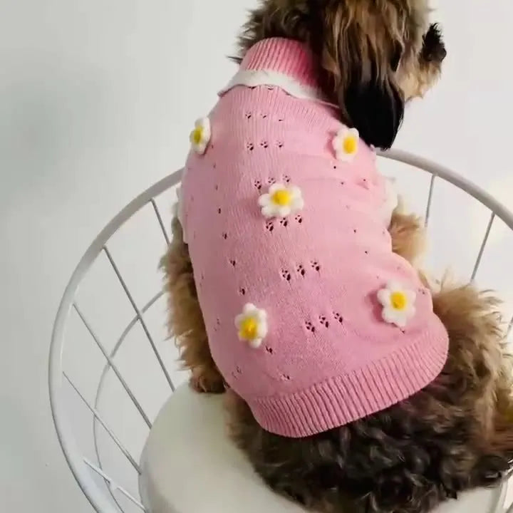 Green knitted dog sweater with floral pattern, shown next to a size chart for XS, S, M, L, and XL.