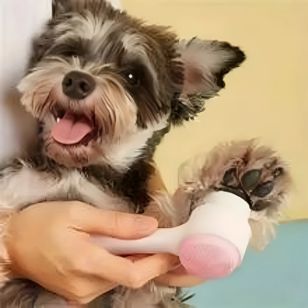 Blue nylon pet paw brush with PP handle for gentle dog and cat grooming.