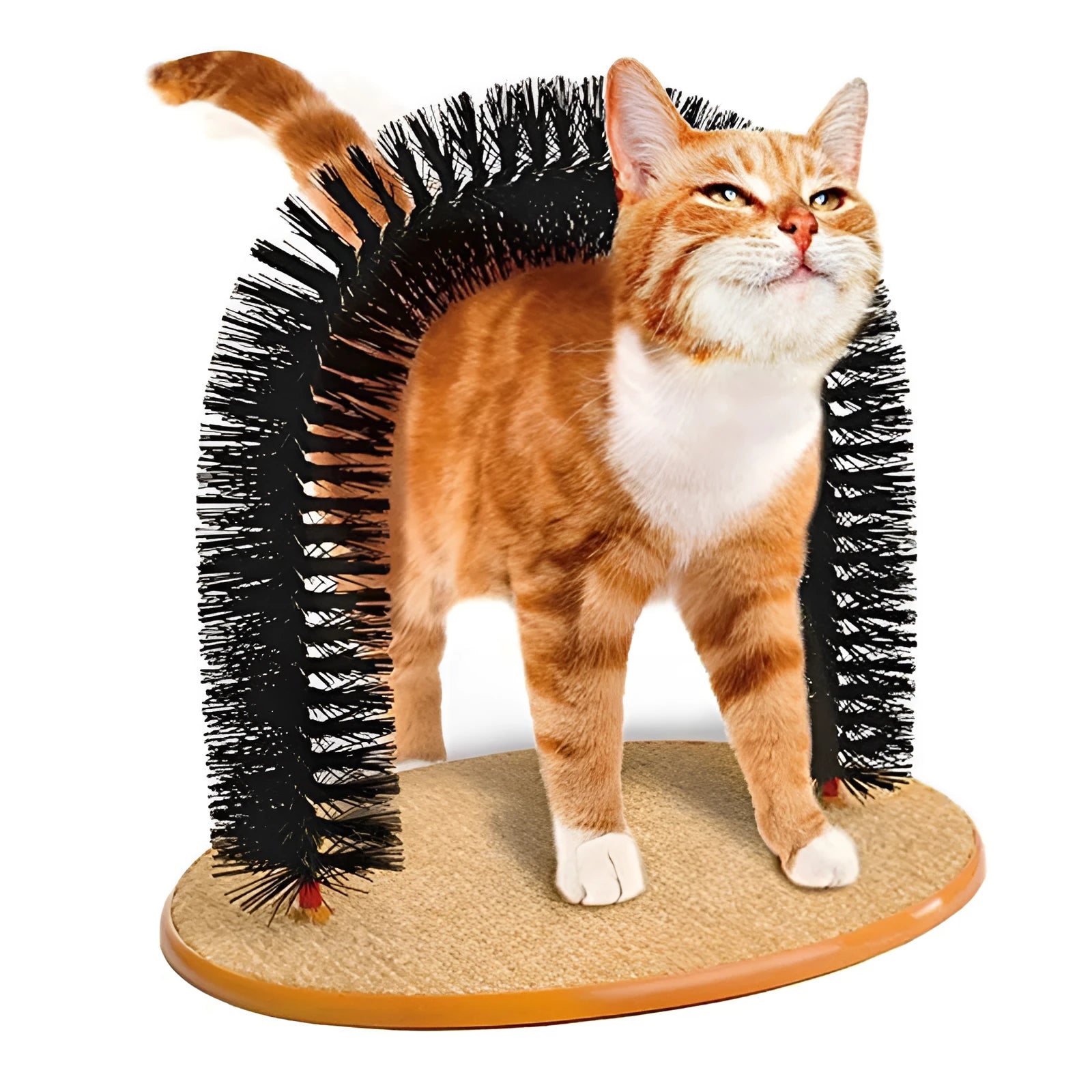 White plastic arched cat grooming toy with built-in brush bristles for scratching.