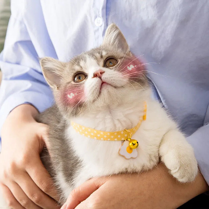 Green adjustable cat collar with bell pendant and bow tie on a small dog