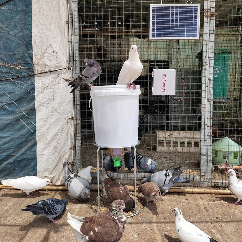 Solar-powered automatic chicken and duck feeding machine with watertight timer unit for animal enclosures