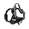 Adjustable Oxford cloth dog harness with a control handle on the strap, shown in a choice of colours.